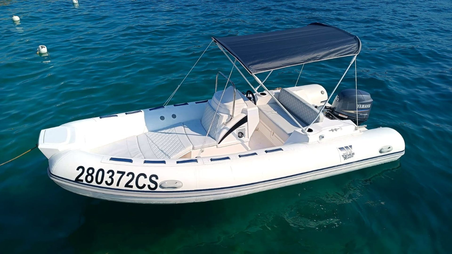 tiger marine + yamaha 60